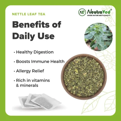 Nettle Leaf Tea Bag image 4